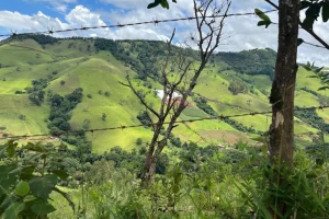 Eloizo Gomes Afonso Durães