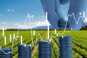 Carlos Alberto Arges Júnior explica os principais tipos de financiamento rural para impulsionar o crescimento do seu negócio no campo.