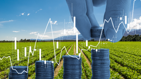 Carlos Alberto Arges Júnior explica os principais tipos de financiamento rural para impulsionar o crescimento do seu negócio no campo.