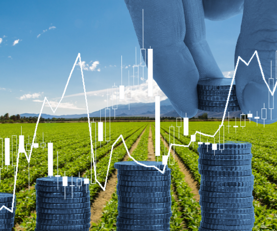 Carlos Alberto Arges Júnior explica os principais tipos de financiamento rural para impulsionar o crescimento do seu negócio no campo.