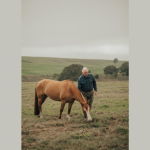 Aldo Vendramin analisa oportunidades e desafios da compensação de carbono no agro.
