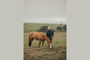 Aldo Vendramin analisa oportunidades e desafios da compensação de carbono no agro.