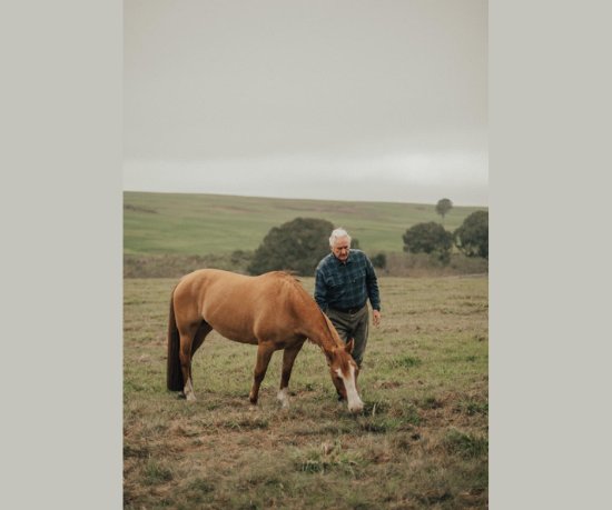 Aldo Vendramin analisa oportunidades e desafios da compensação de carbono no agro.