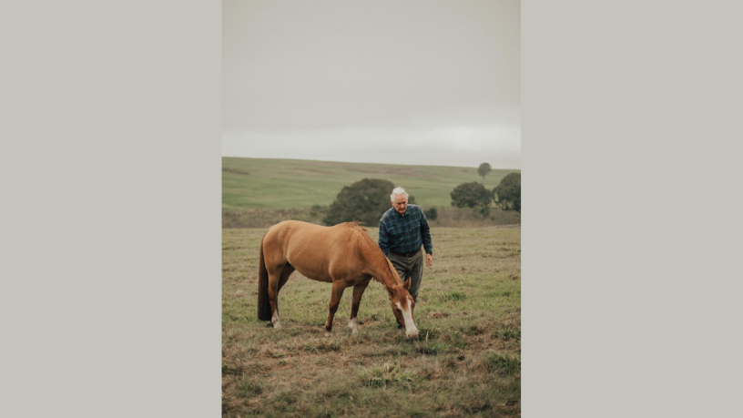 Aldo Vendramin analisa oportunidades e desafios da compensação de carbono no agro.