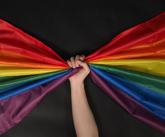 Política de respeito à população LGBTQIA+: por que a atuação da Defensoria Pública do Maranhão ganha relevância social