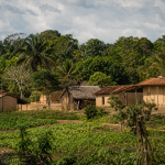 Comunidade quilombola em área rural do Maranhão, com casas e vegetação ao redor, sem textos ou placas visíveis