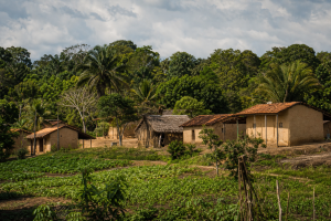 Comunidade quilombola em área rural do Maranhão, com casas e vegetação ao redor, sem textos ou placas visíveis