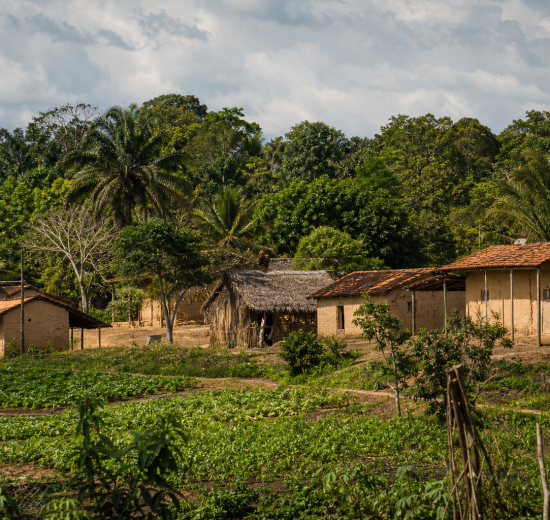 Comunidade quilombola em área rural do Maranhão, com casas e vegetação ao redor, sem textos ou placas visíveis