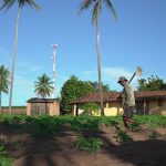 Trabalhador rural atua em uma plantação cercada por palmeiras sob céu claro.